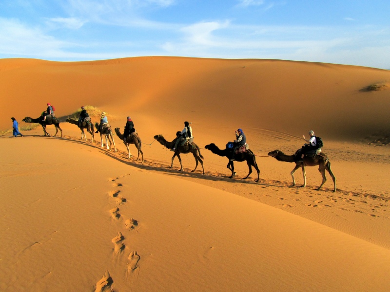 Camel trekking