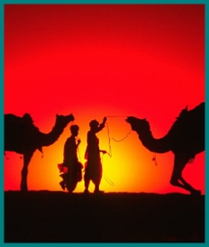 Camel trekking experience among the dunes of Erg Chebbi