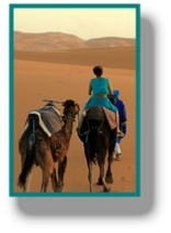 Riad - Maison Adrar Merzouga - Website Design and Photography by Gomarnad Maroc